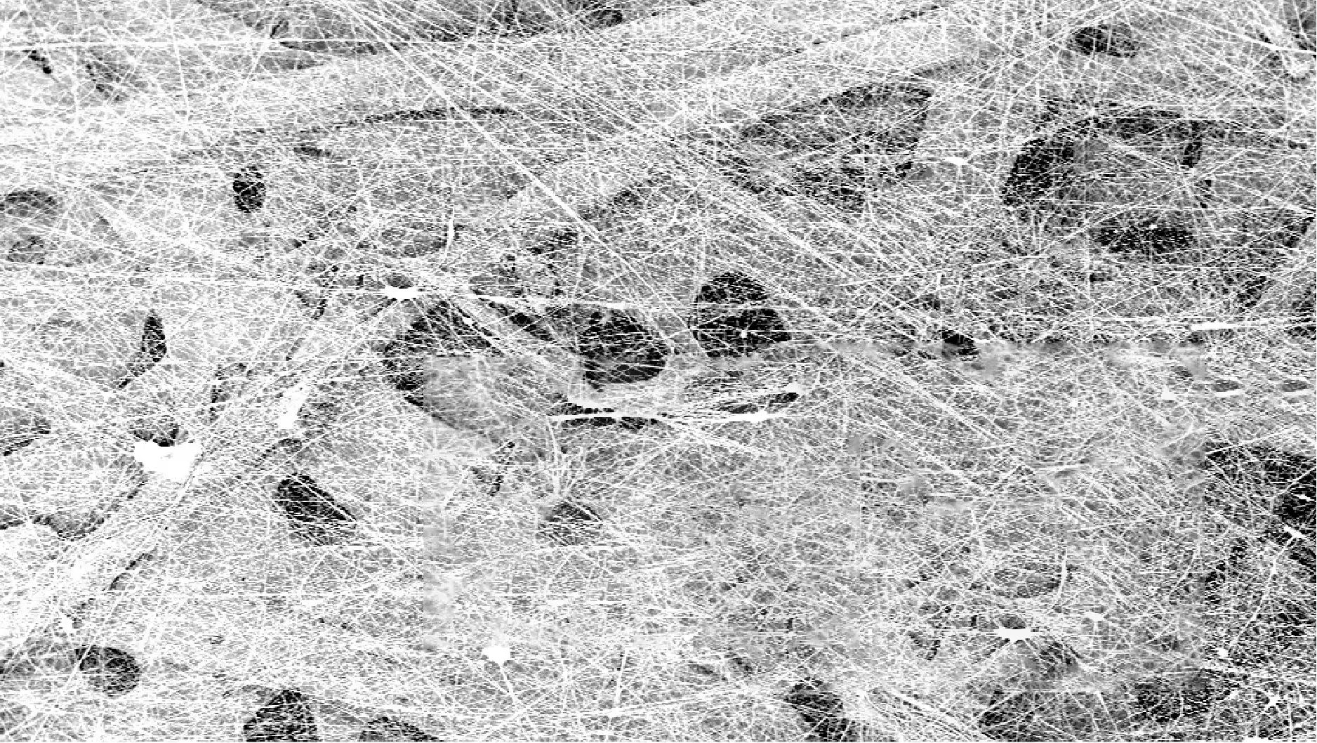 Centrifugal Spinning